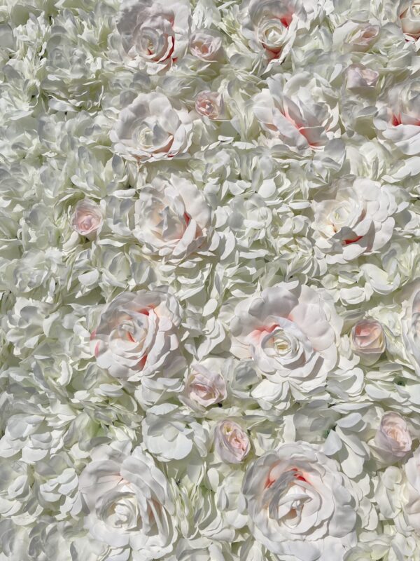 Blush Flower Wall